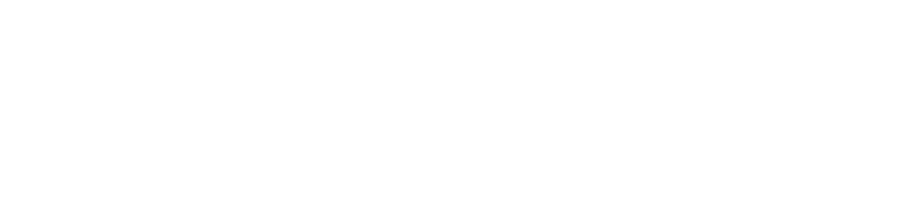SimPole - סימסולושיין בע״מ